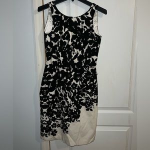 WHBM White/Black Dress